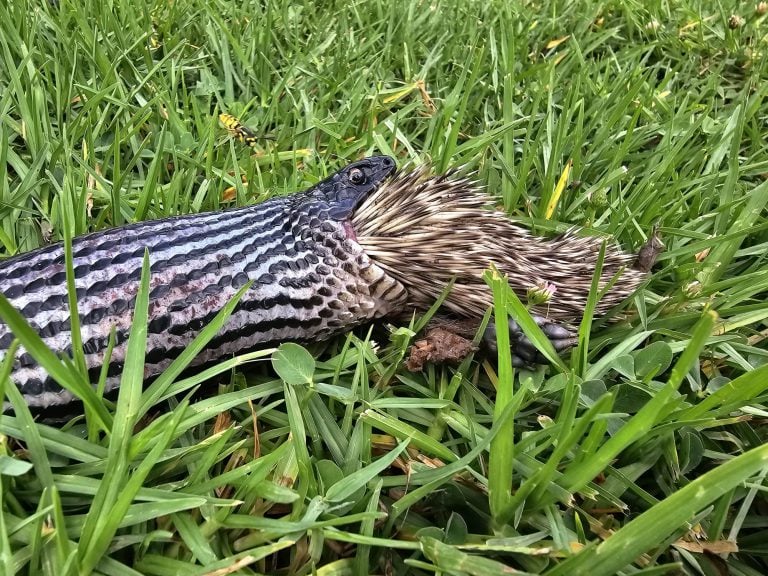 Photo: Aviad Bar, Nature and Parks Authority