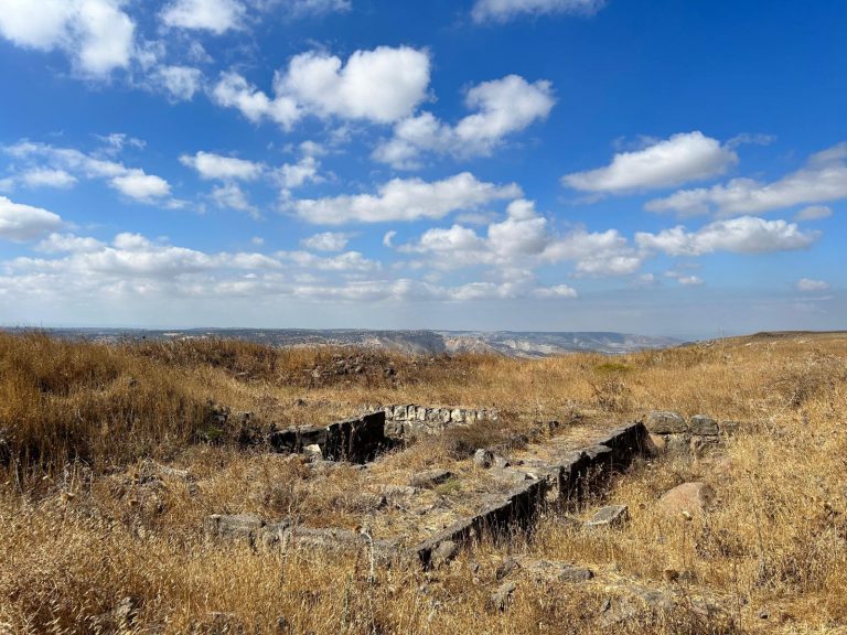 Photo: Naama Mansfeld, Nature Defense Force and Nature and Parks Authority