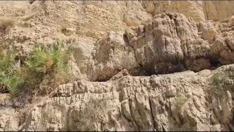 Photo: Nature and Parks Authority