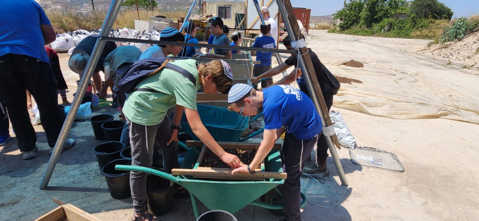 Excavations at the site