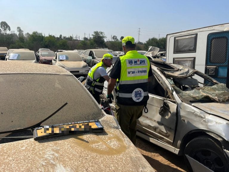 They also clean the vehicles