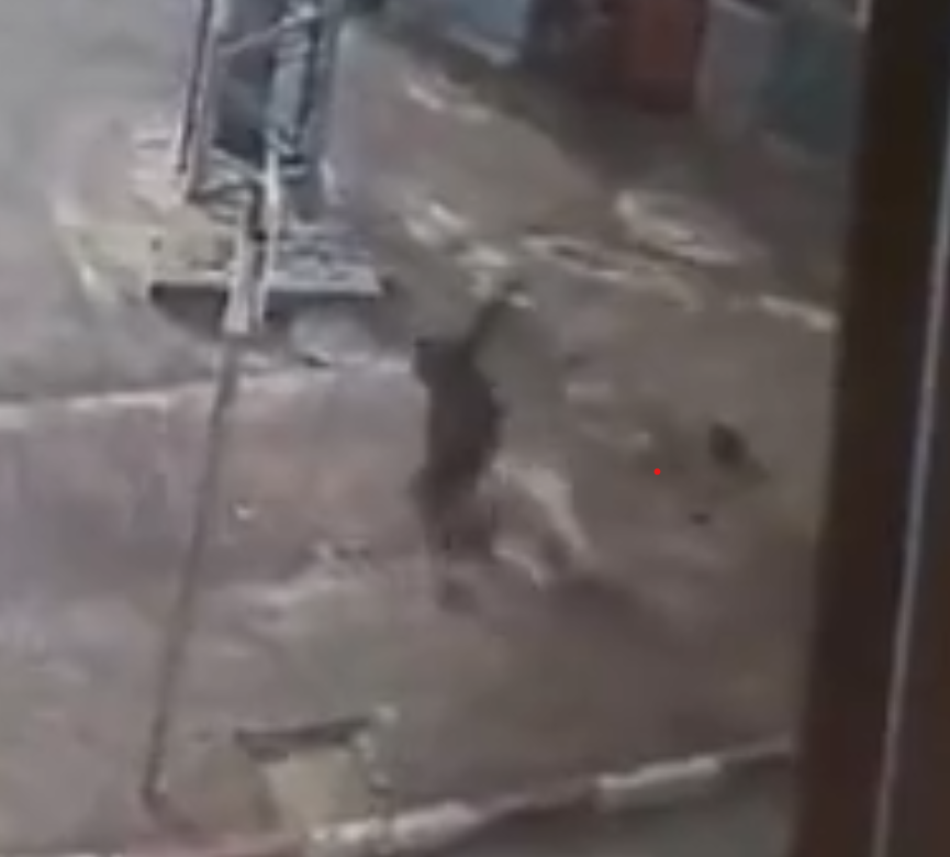 Screenshot from video