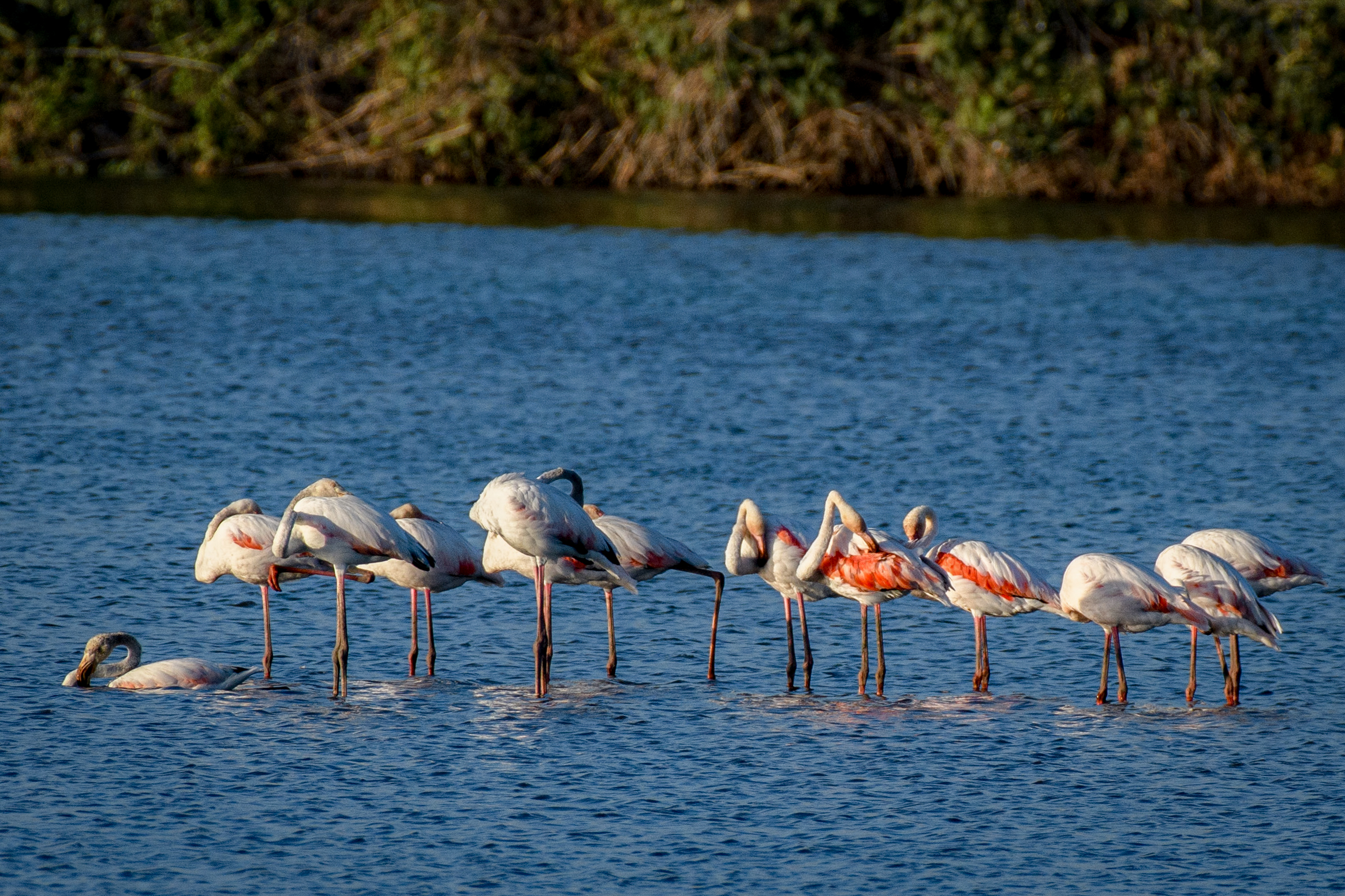 Photo: Ayal Margolin/Flash90