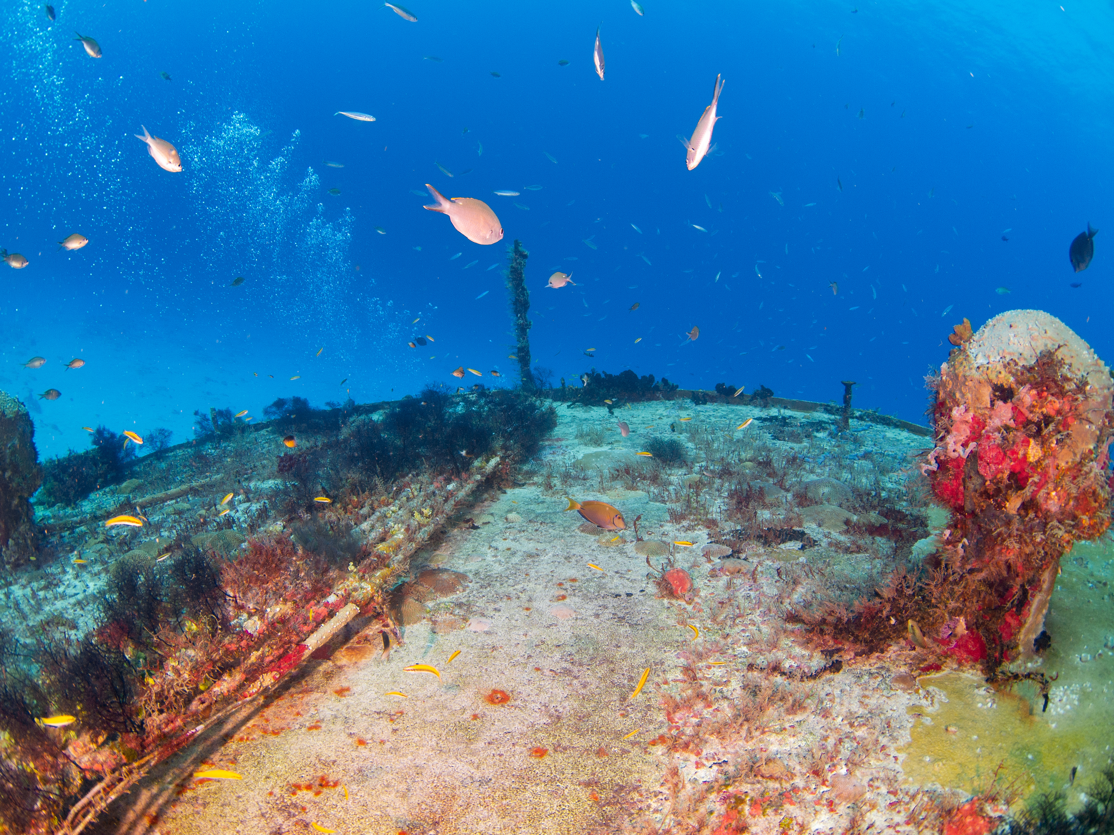 Underwater cables, a vital communications lifeline for the world.