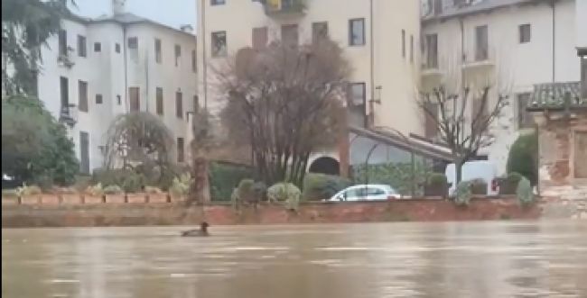 Extreme flooding in Italy