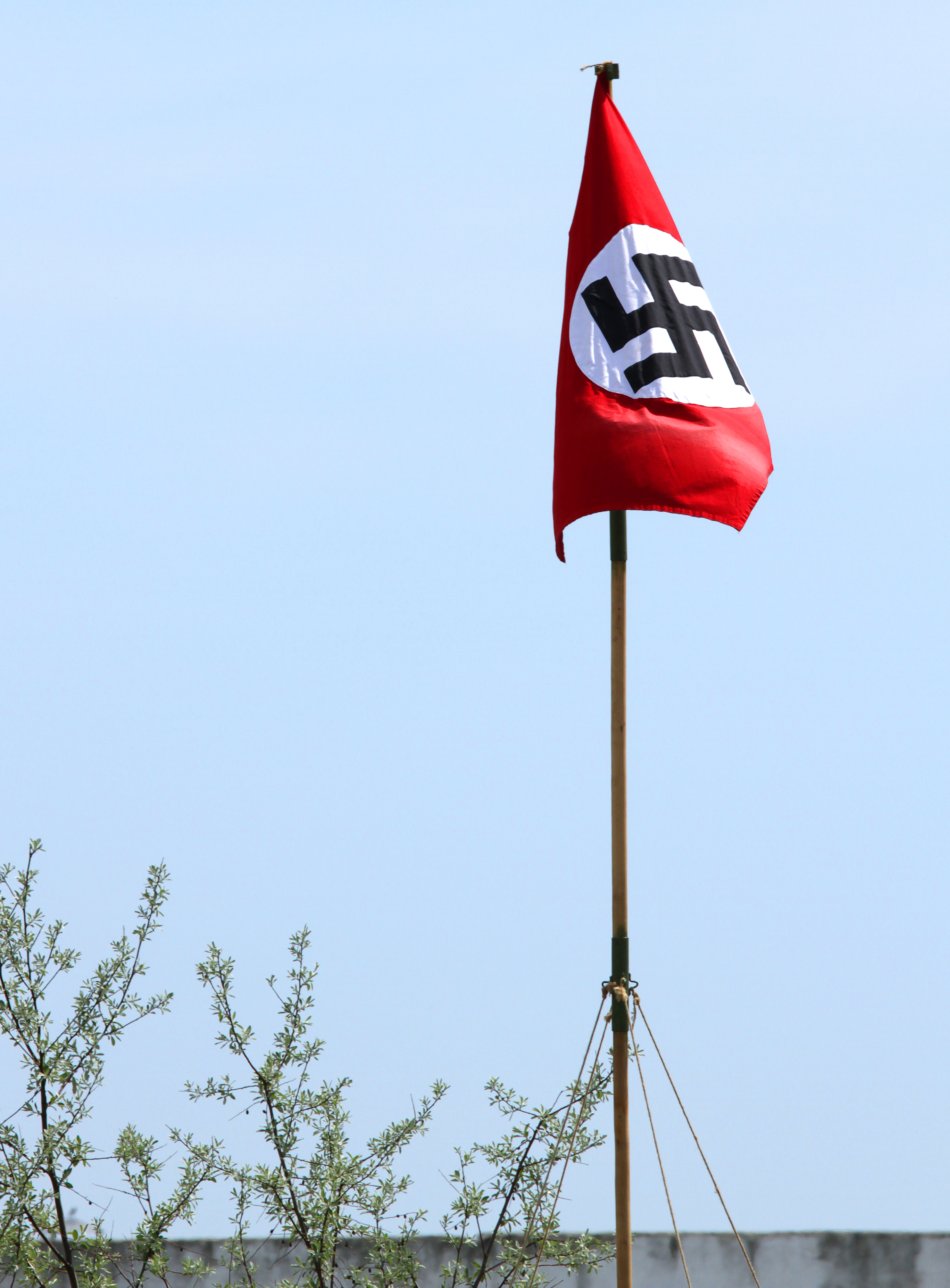RACISM ON DISPLAY: Masked man waves Nazi flag during anti-Israel demonstration 
