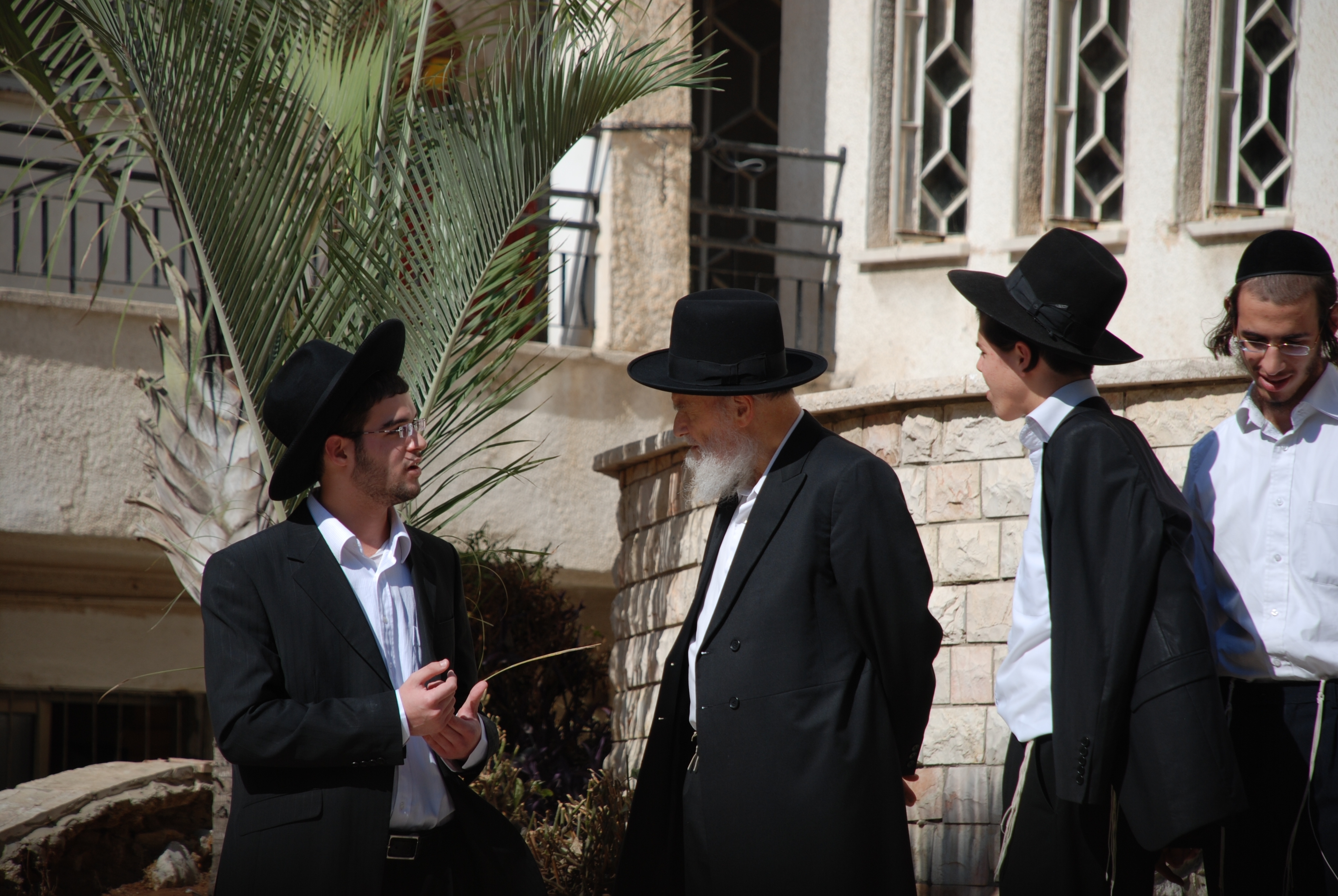 Respected Rabbi Moshe Hillel