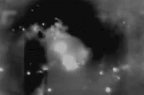 Destroyed rocket launchers.