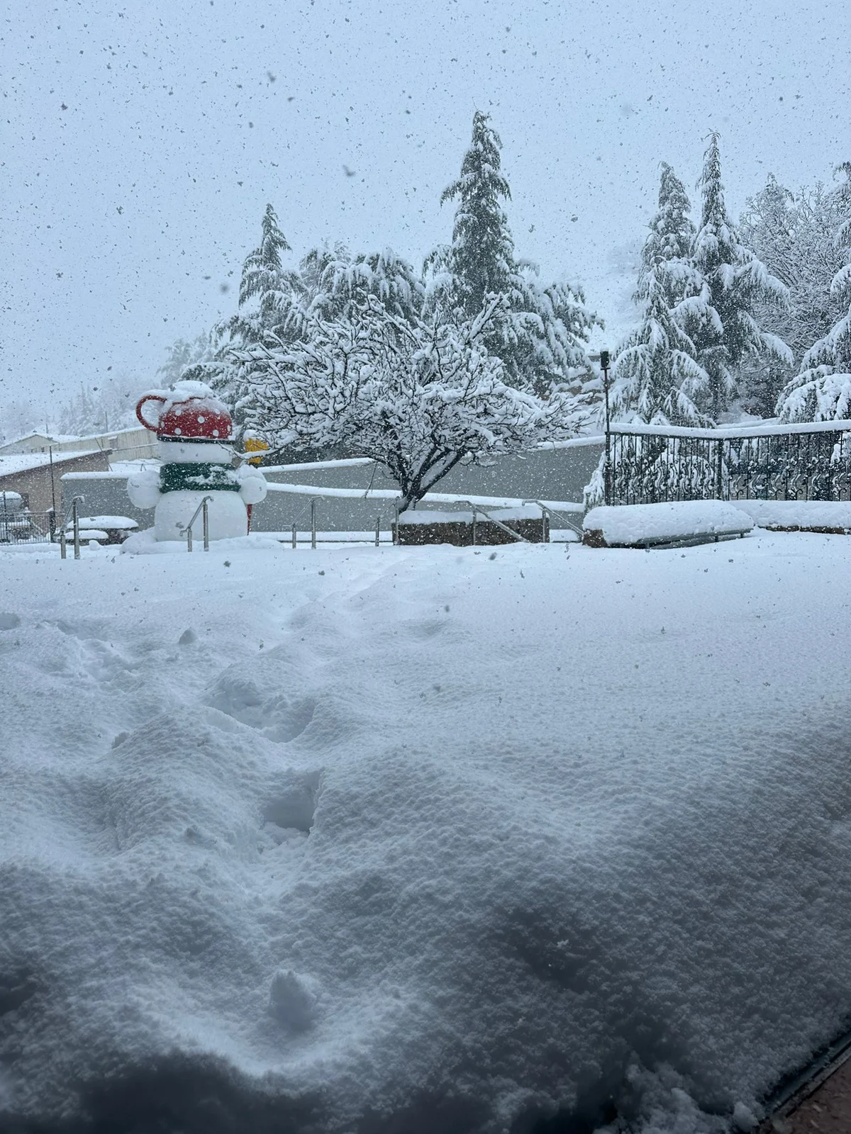 IN COLOR: Mount Hermon is blanketed by 55 cms (21 in) of gorgeous fluffy snow