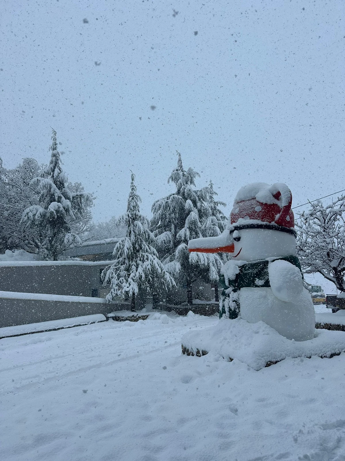 IN COLOR: Mount Hermon is blanketed by 55 cms (21 in) of gorgeous fluffy snow