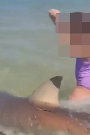 A child standing in the water surrounded by sharks