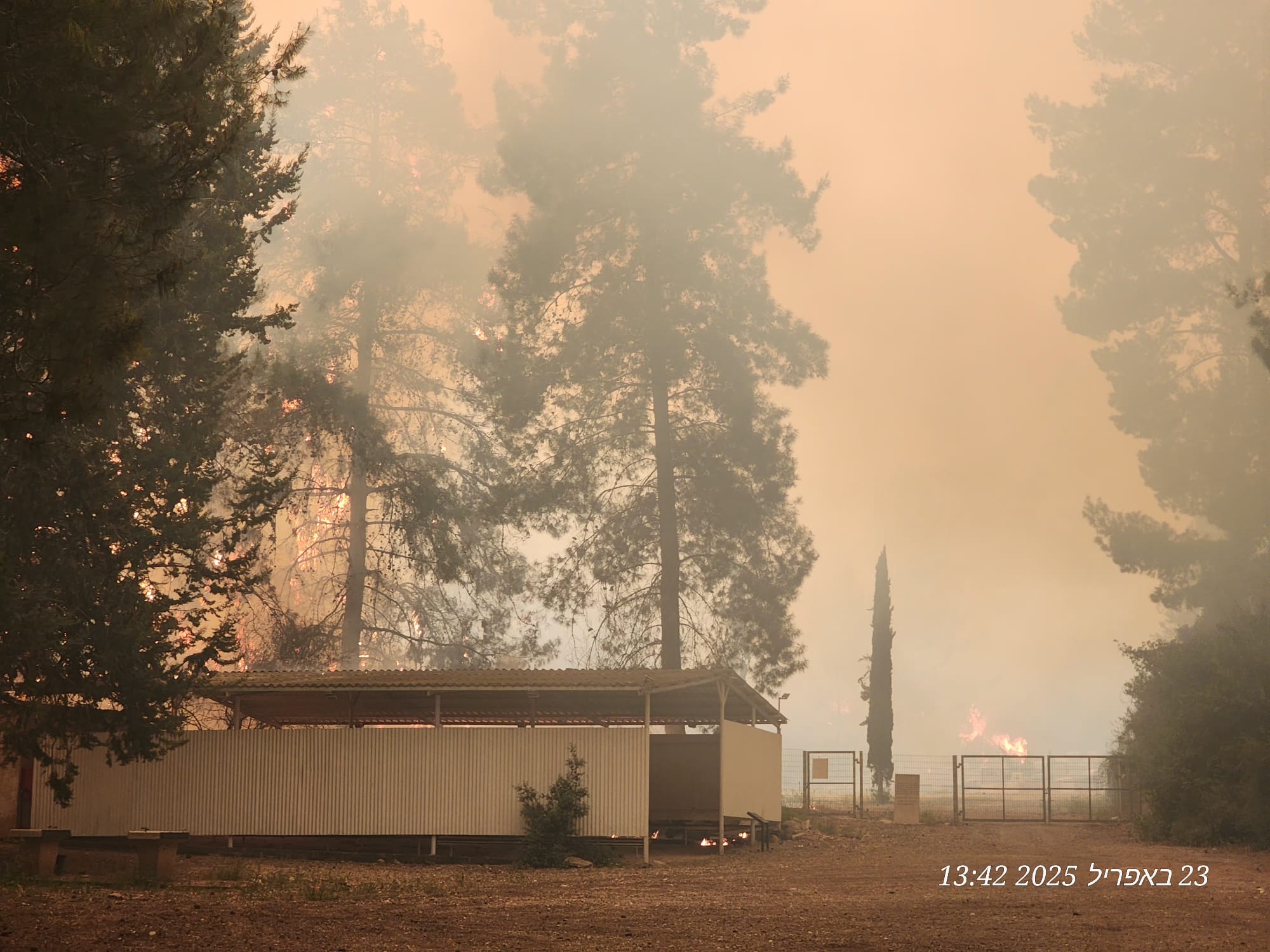 WATCH: Massive wildfires wreak havoc near Jerusalem, communities evacuated, Route 1 to be closed