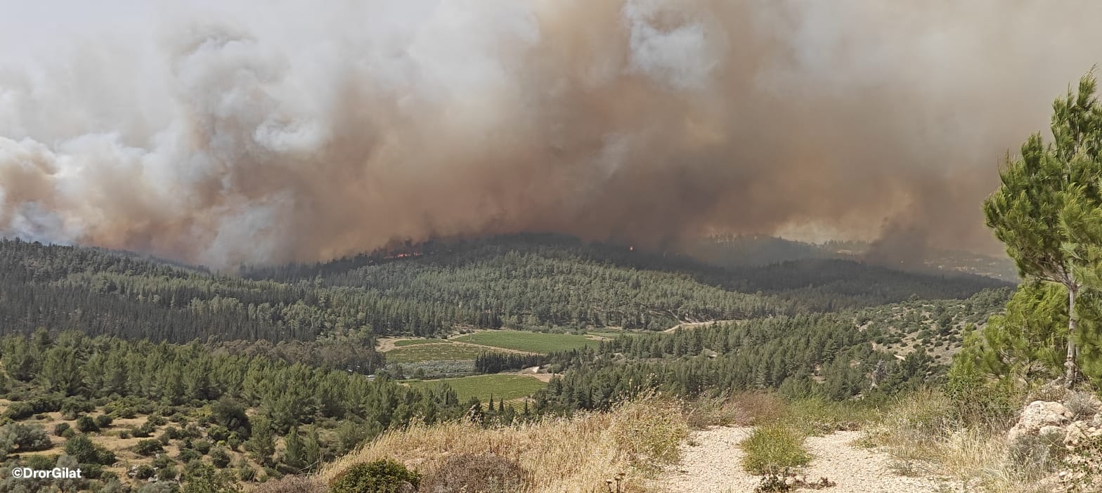 Scene of the fire on Road 1