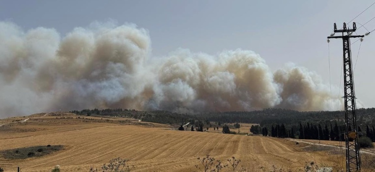 LIVE UPDATES: Jerusalem Wildfire Still Out of Control