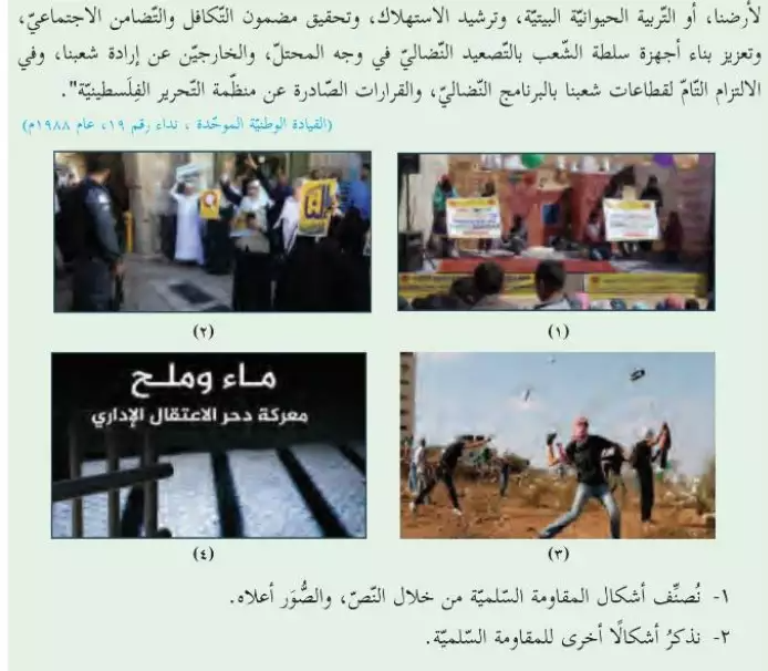 Rock throwing as an example of peaceful resistance