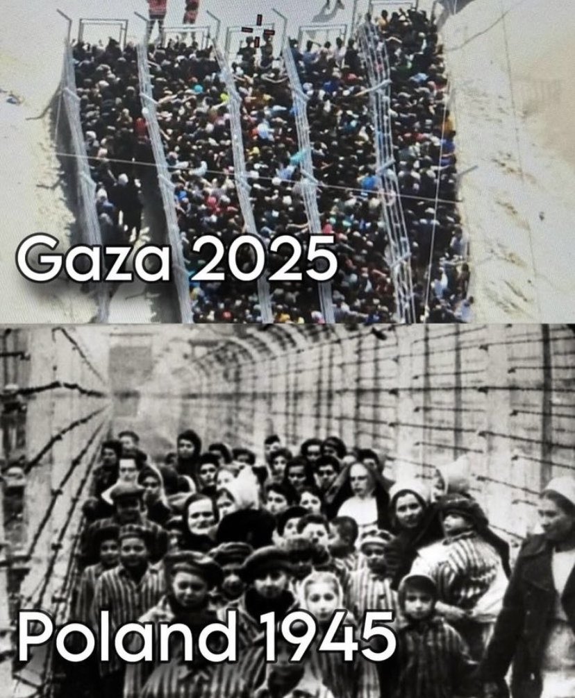 Israel Feeds Gaza Without Hamas—And the Internet Loses Its Mind