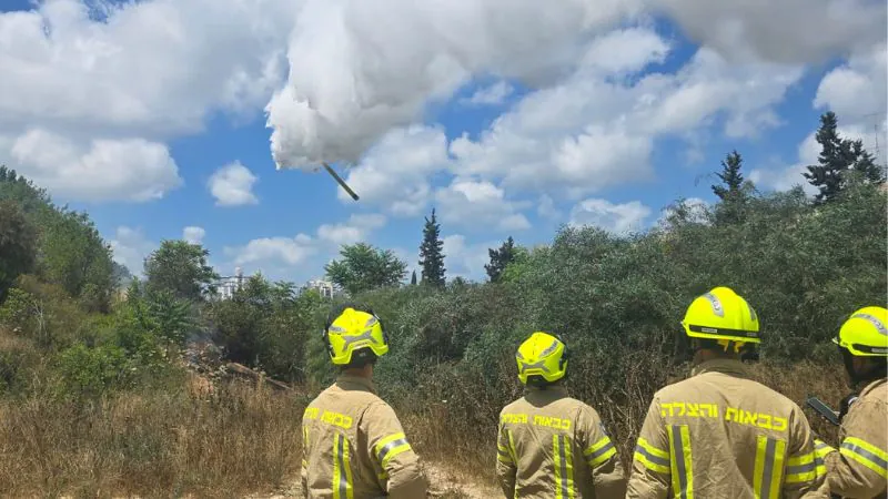 Massive Wildfire Erupts in Haifa: Homes Evacuated, Pets Rescued Under Fire