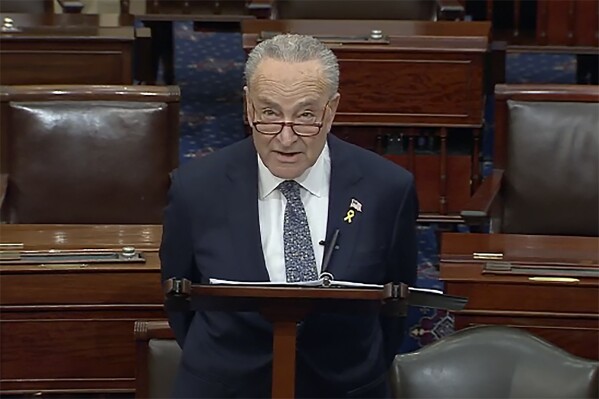 Chuck Schumer Stabbed America and The Jews in the Back

 
