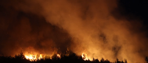 Latakia wildfires
