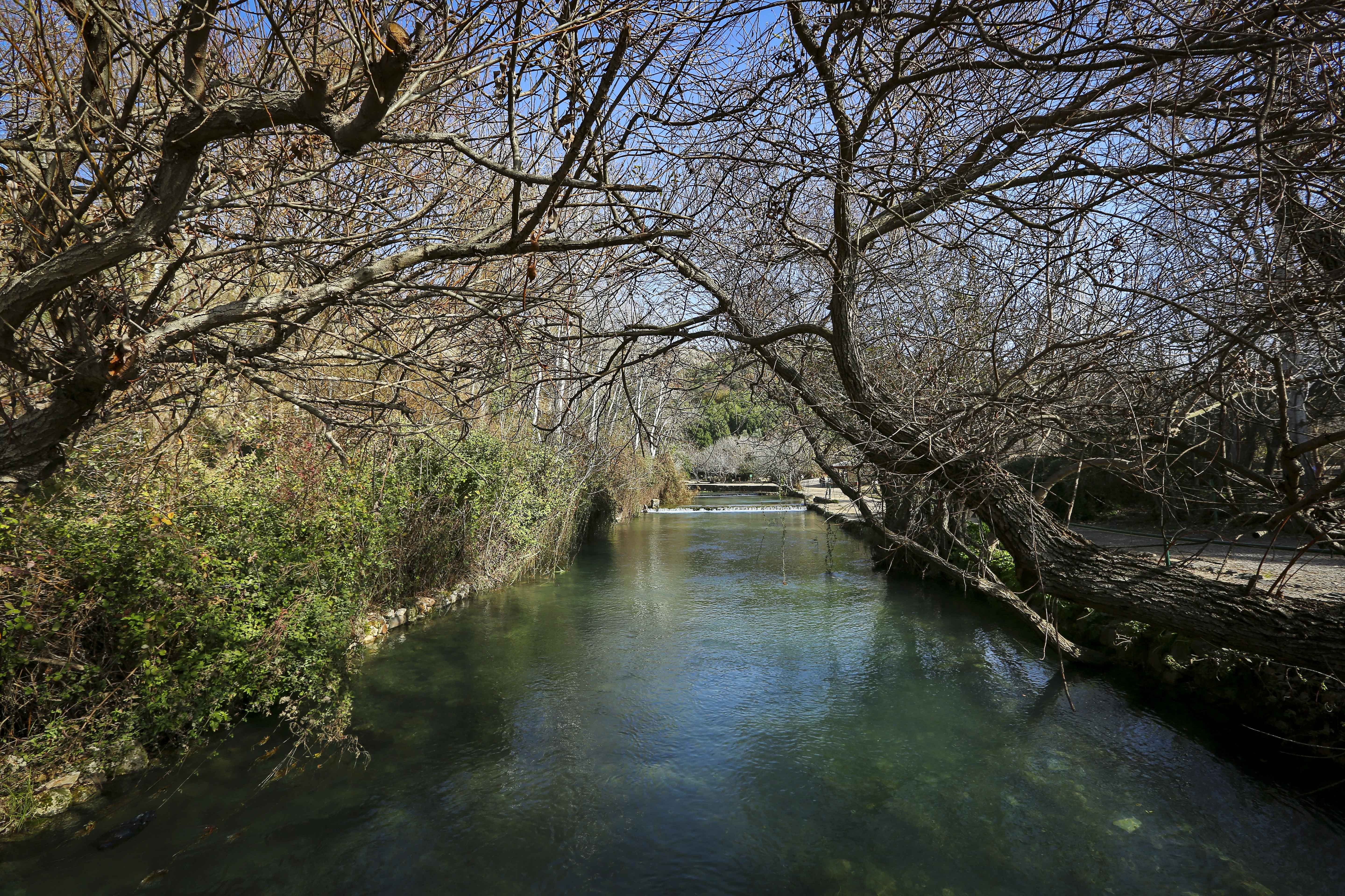 View of springs in Banias Nature Reserve in Northern Israel
