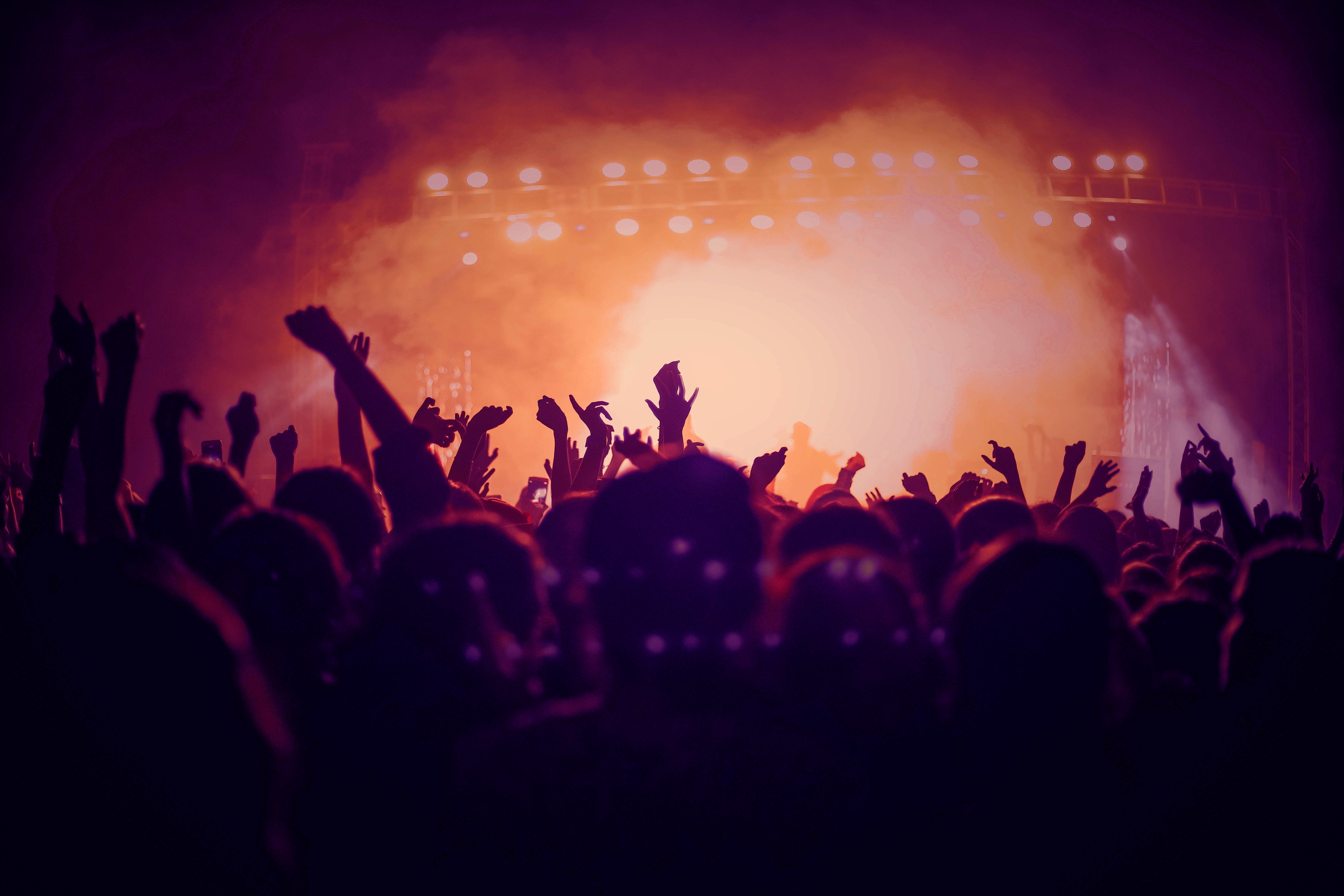 Crowd enjoying concert