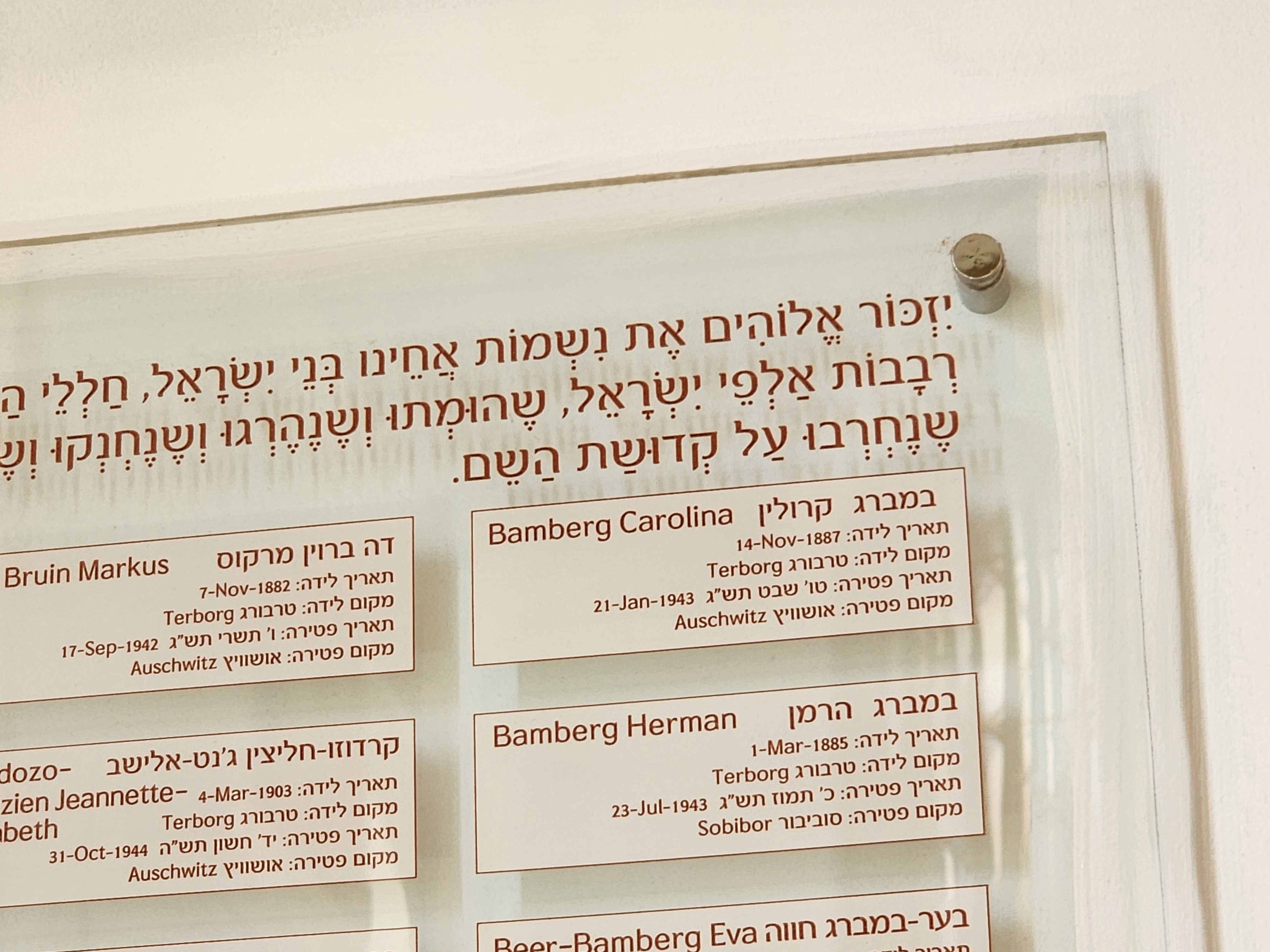Holland in the Holy Land: The Synagogue That Feels Like a Time Warp