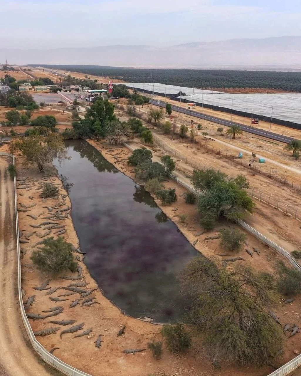 Petza’el Crocodile Farm 