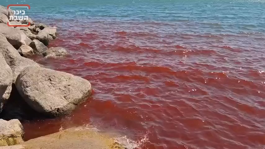 Red Sea of Galilee Mystery: What's Really in the Water?