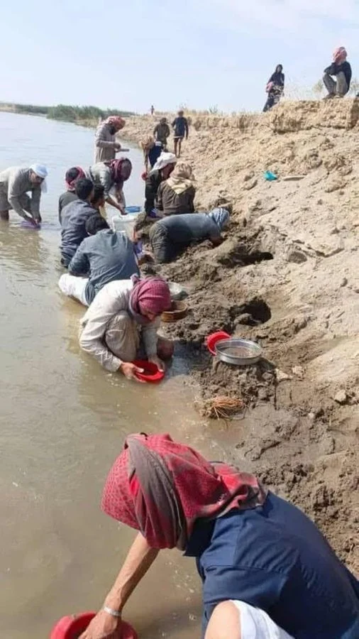 Syrian citizens are filtering water in search of gold in the Euphrates River.