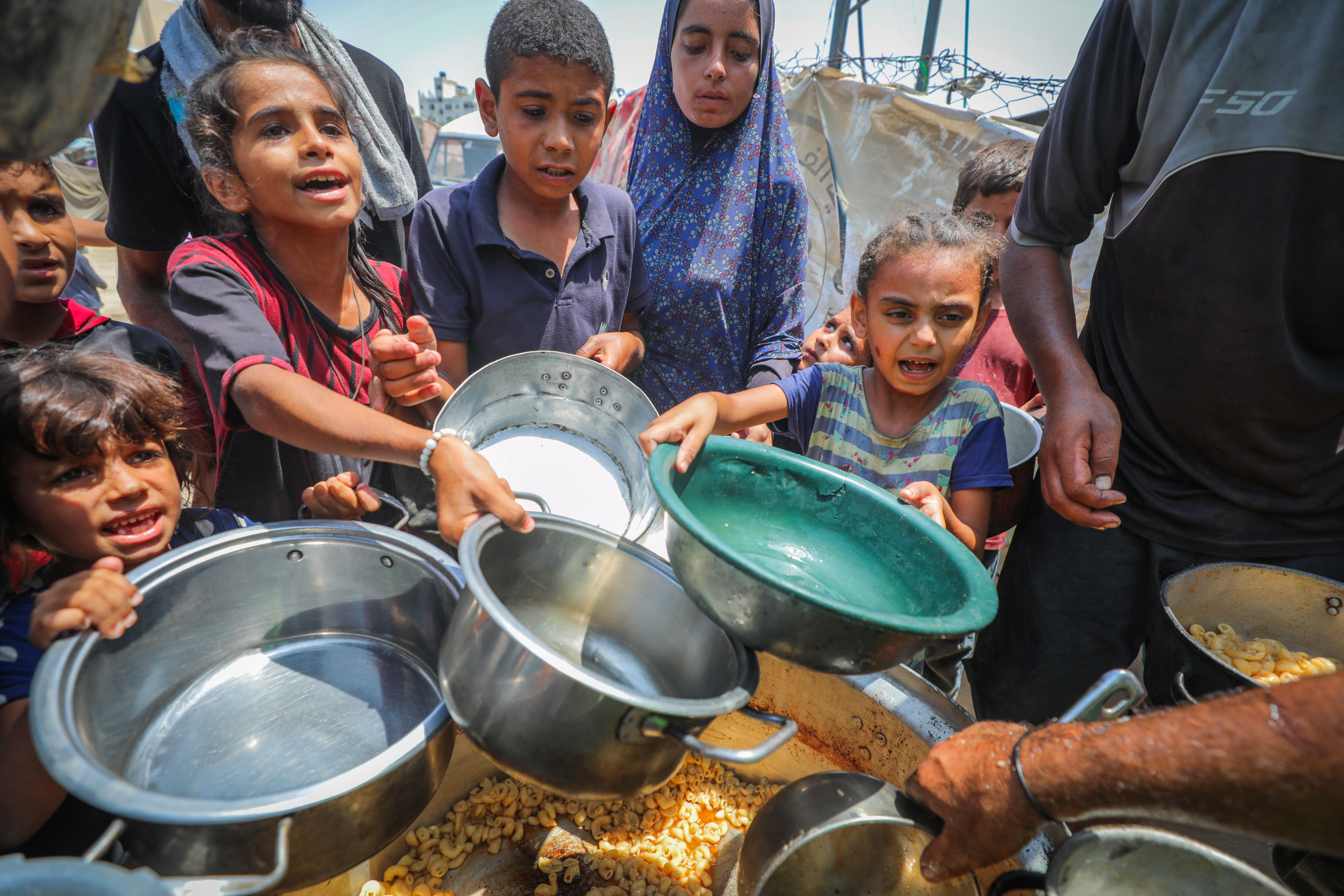 Food situation in Gaza, August 2025.