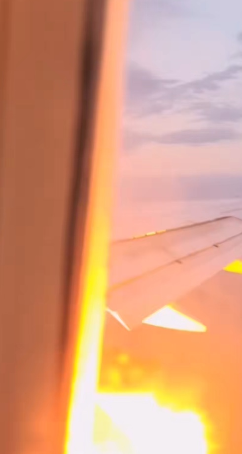 Condor Boeing Forced to Make Emergency Landing After Engine Catches Fire | WATCH