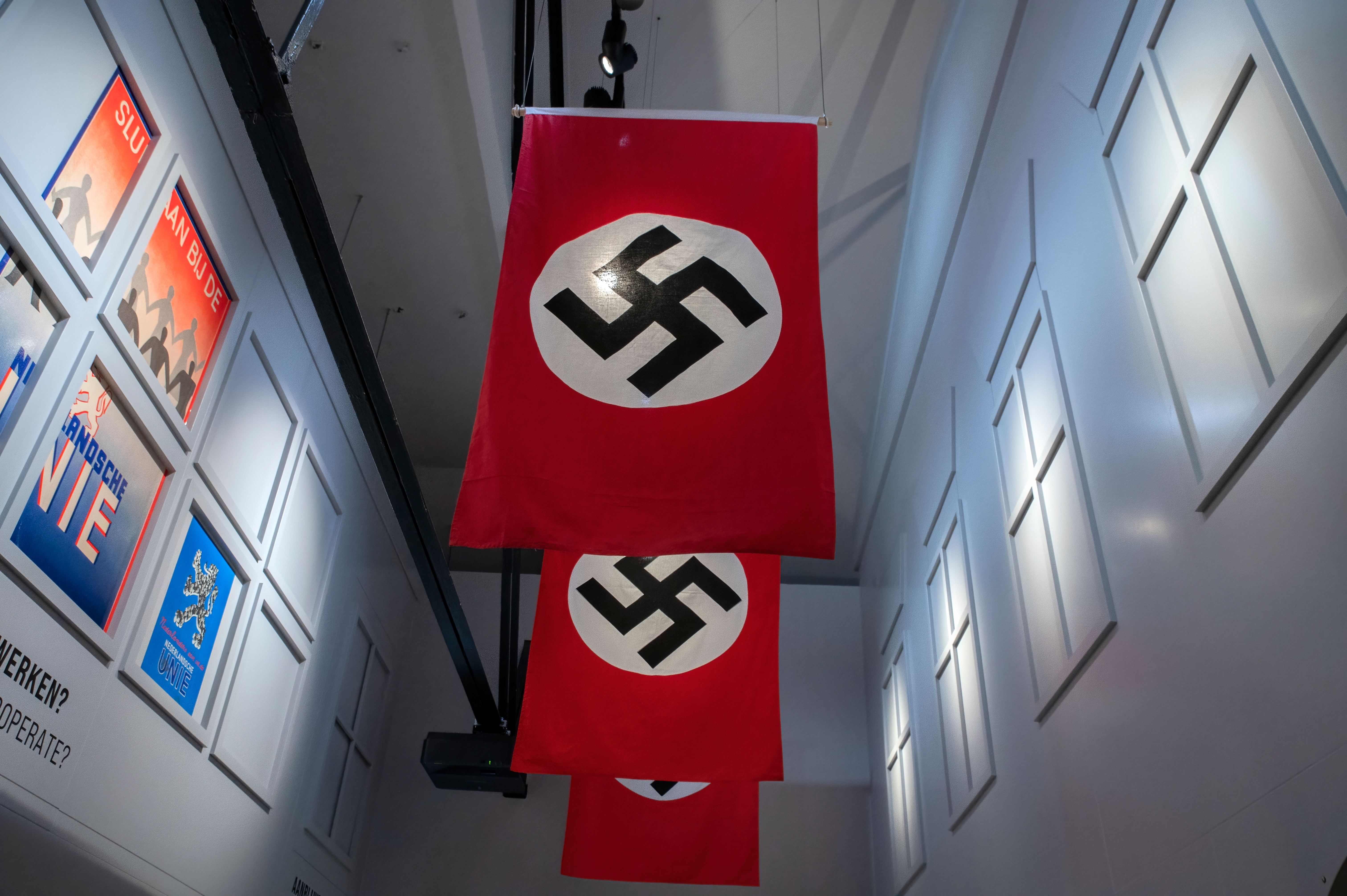 Nazi flags
