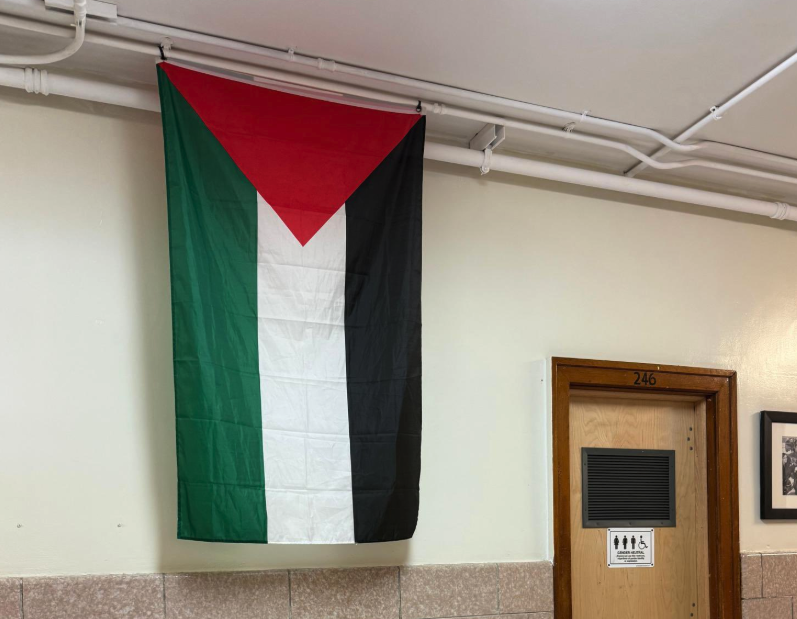 Plaestbina Flag hanging at NY School