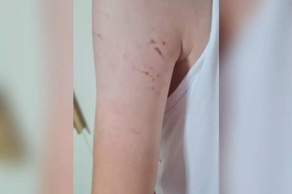 Two Israeli teachers viciously abuse autistic 12 year old in Beit Shemesh School