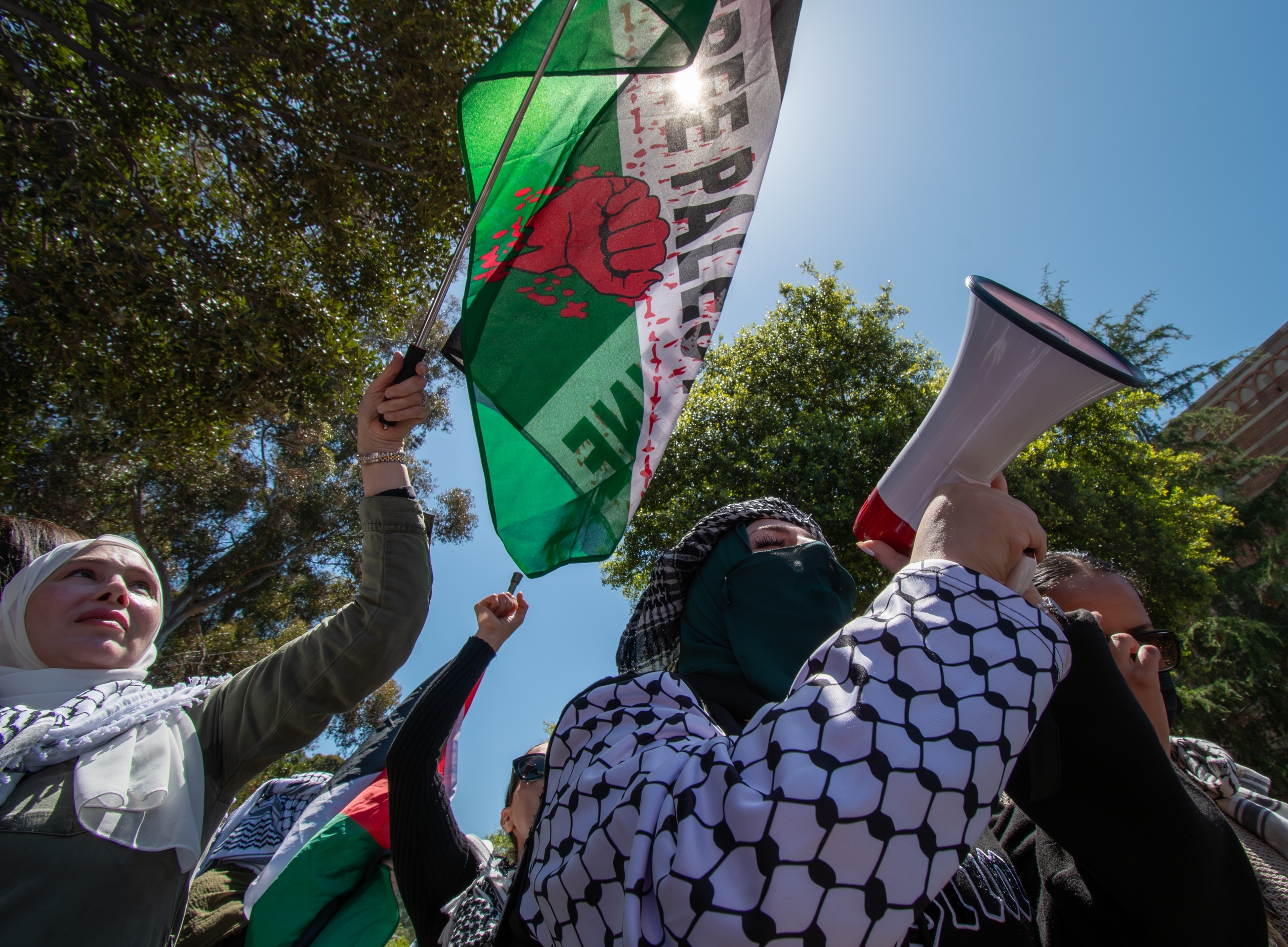 Pro Palestinian Protest