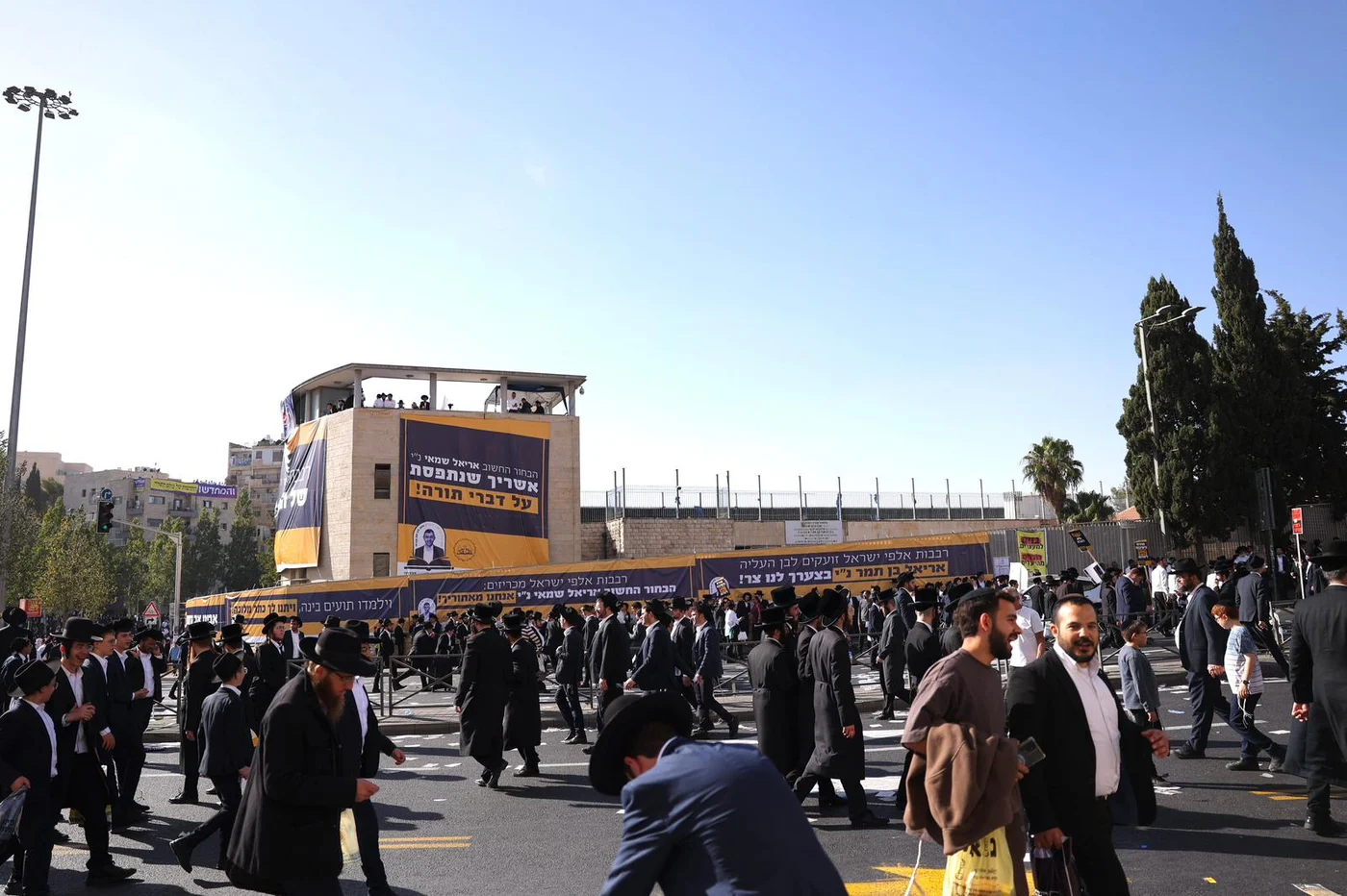 Photo: Daniel nefosi, David Mendelson