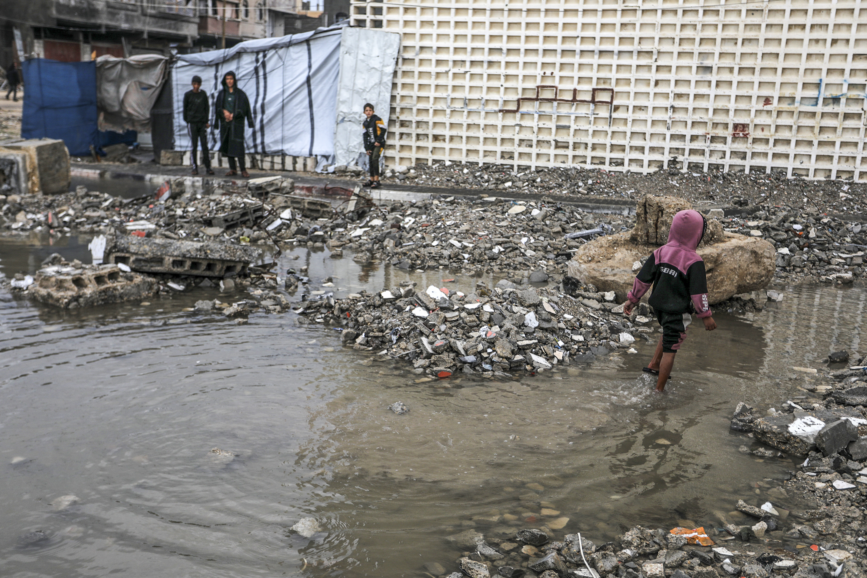 Photo: Abed Rahim Khatib / Flash90