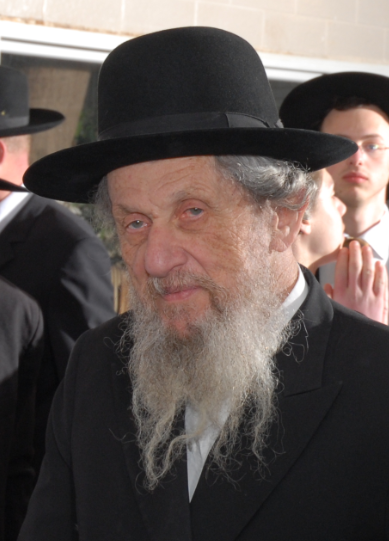Rav Dov lando
