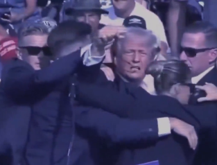 Trump survives assassination attempt