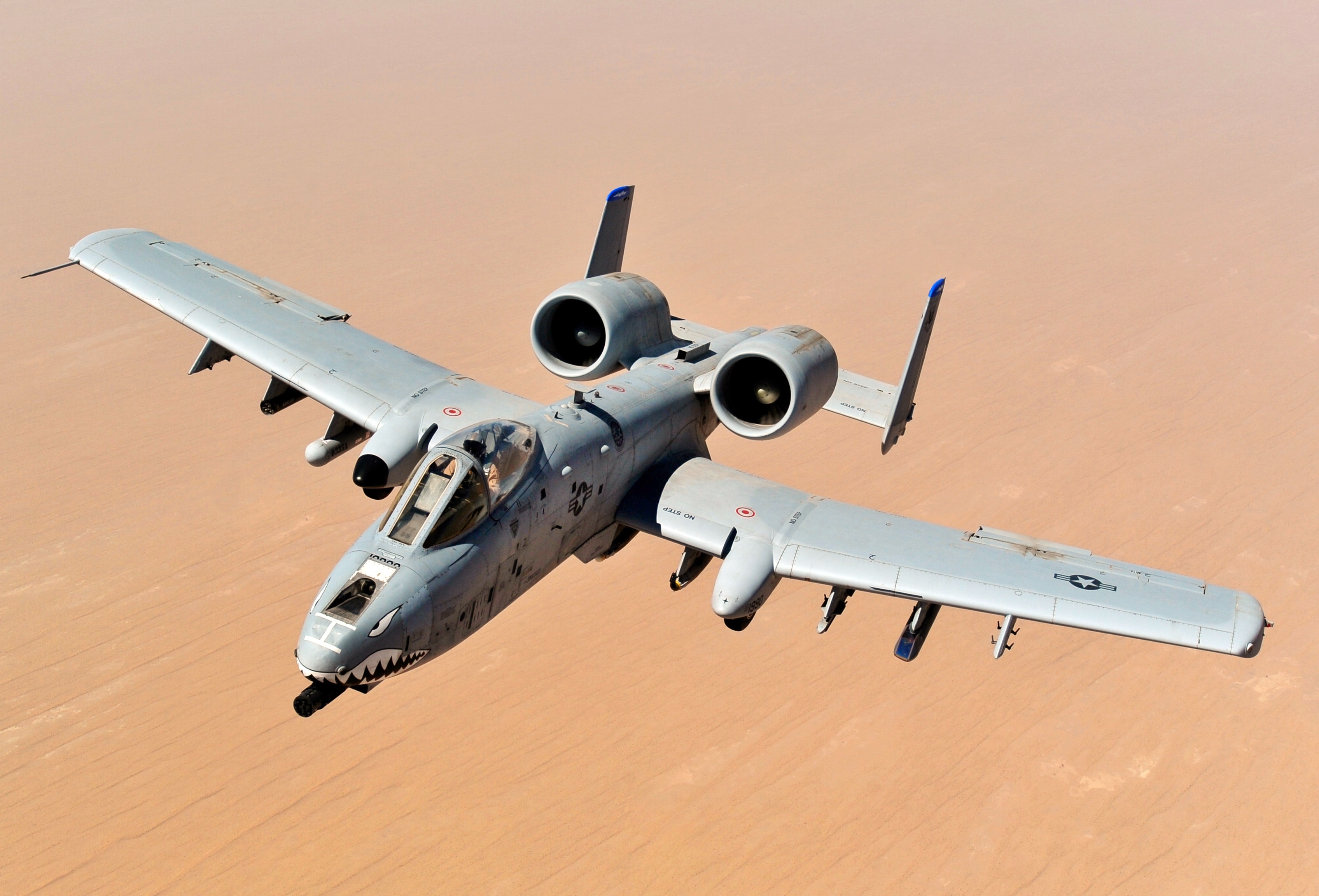 A-10 'Warthog' Attack Jet