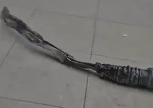 Shrpanel falls in Boyan Shul in Jerusalem