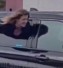 Handcuffed Woman Escapes Police Cruiser Through Rear Window in Michigan