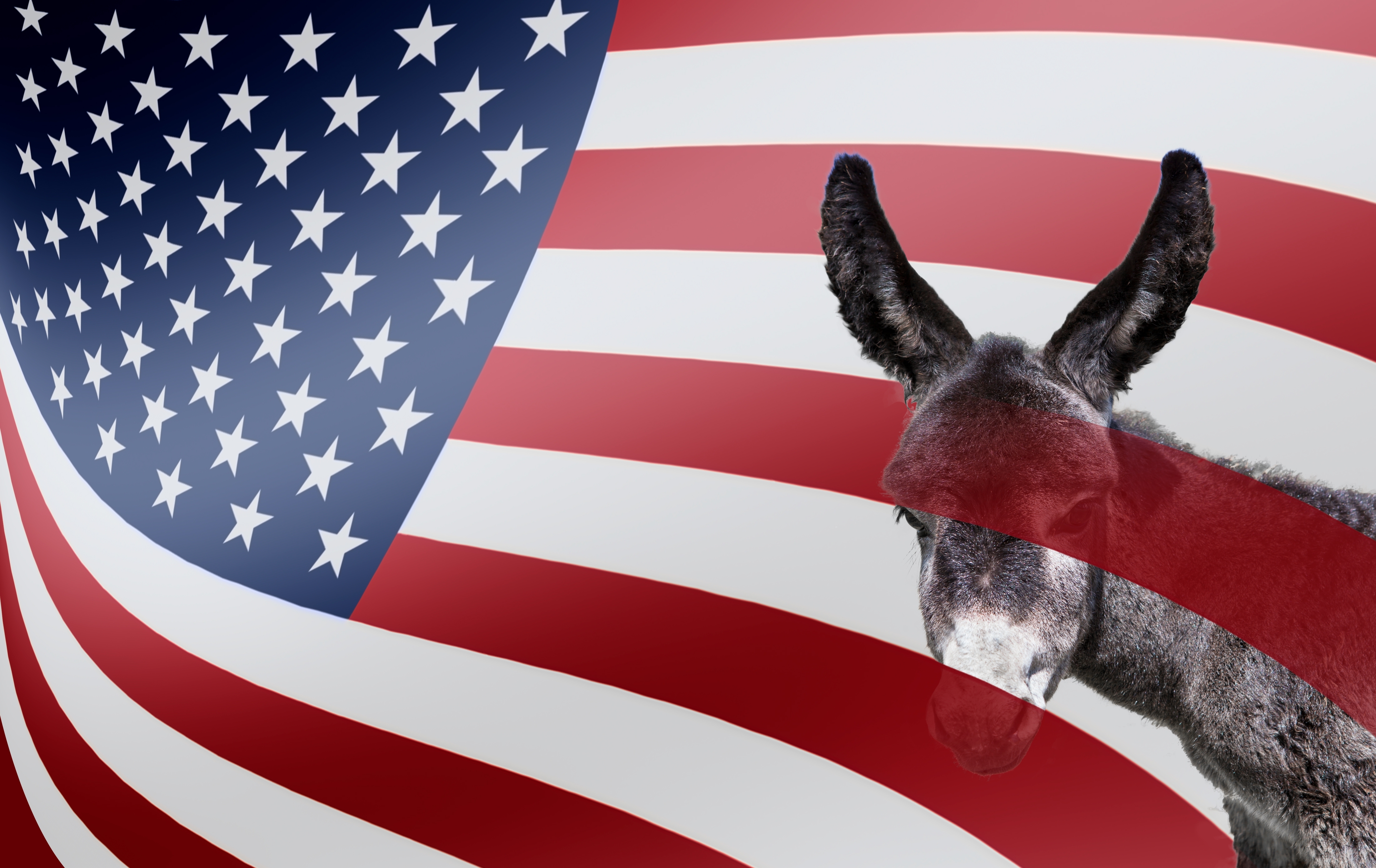 The Democratic party