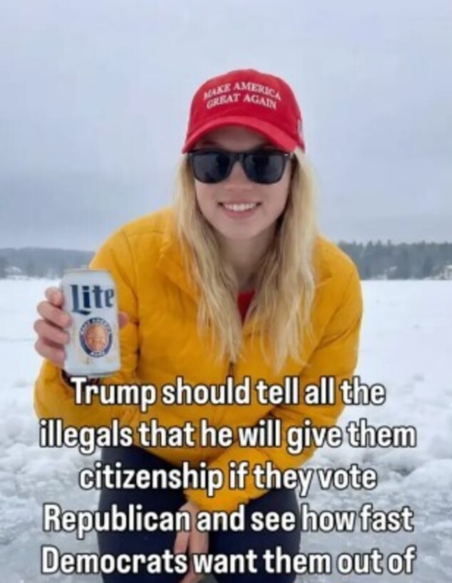 A screenshot of one of "Emily"'s TikToks.