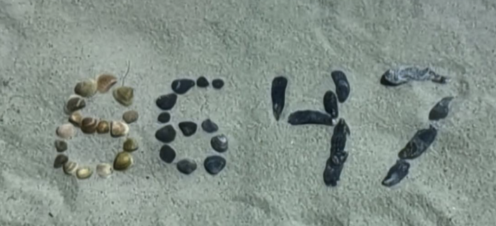 8647 written using shells