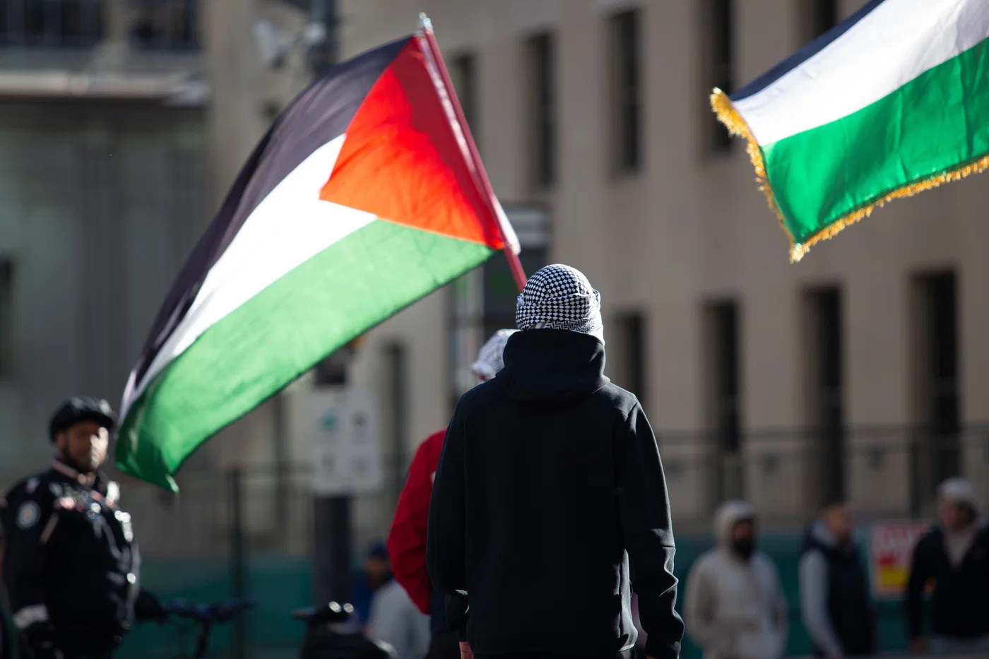 Pro-Palestinian protester