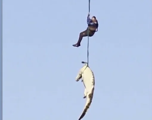 Rescue op