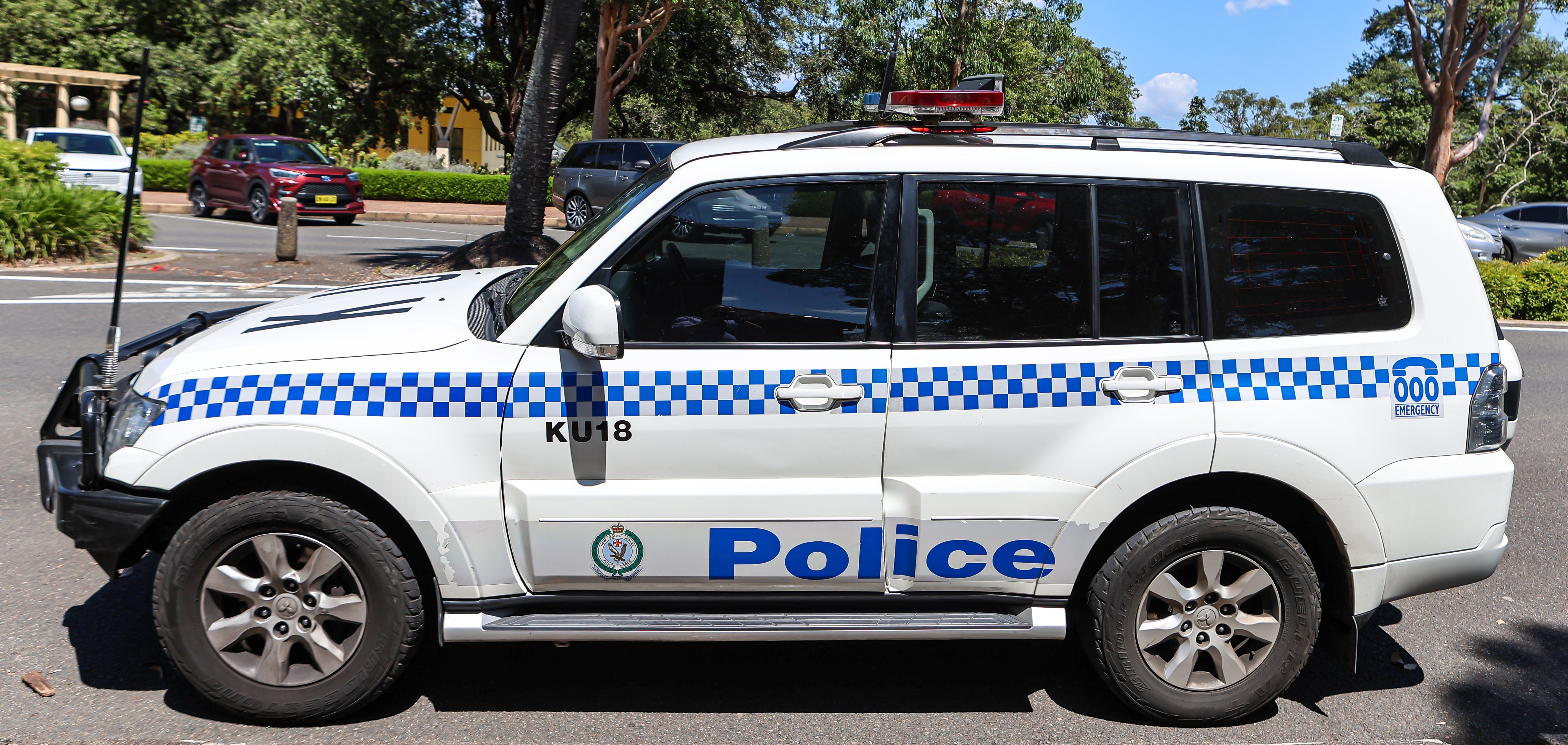 NSW police