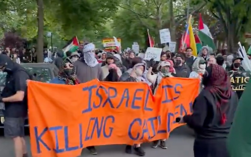 The protestors in Brooklyn.