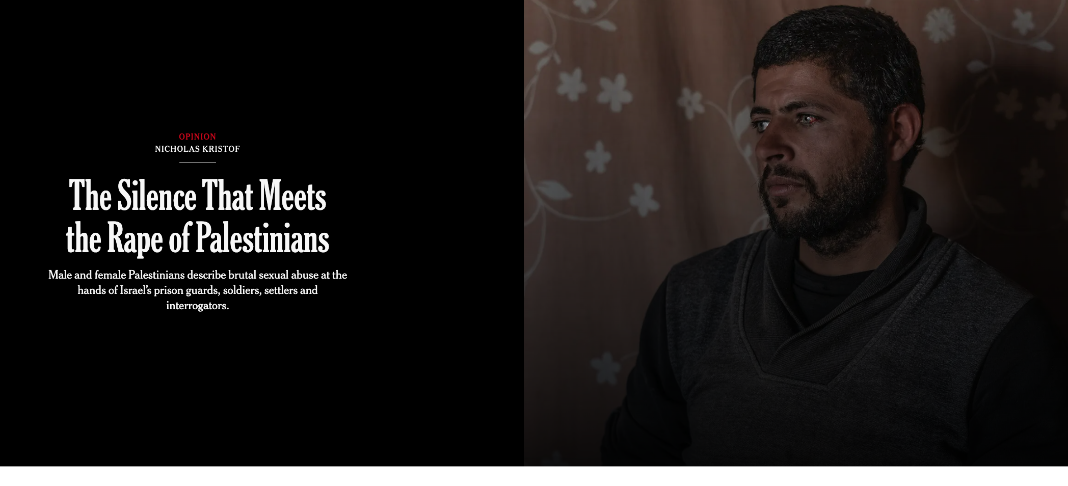 NYT article villfying Israel